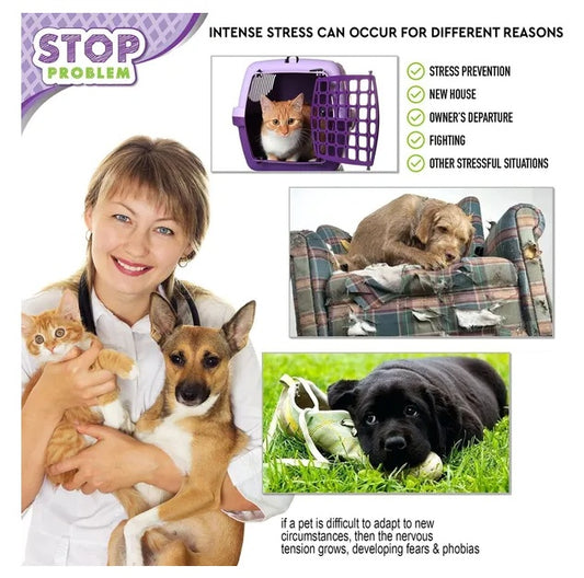 Cat Calming Diffuser