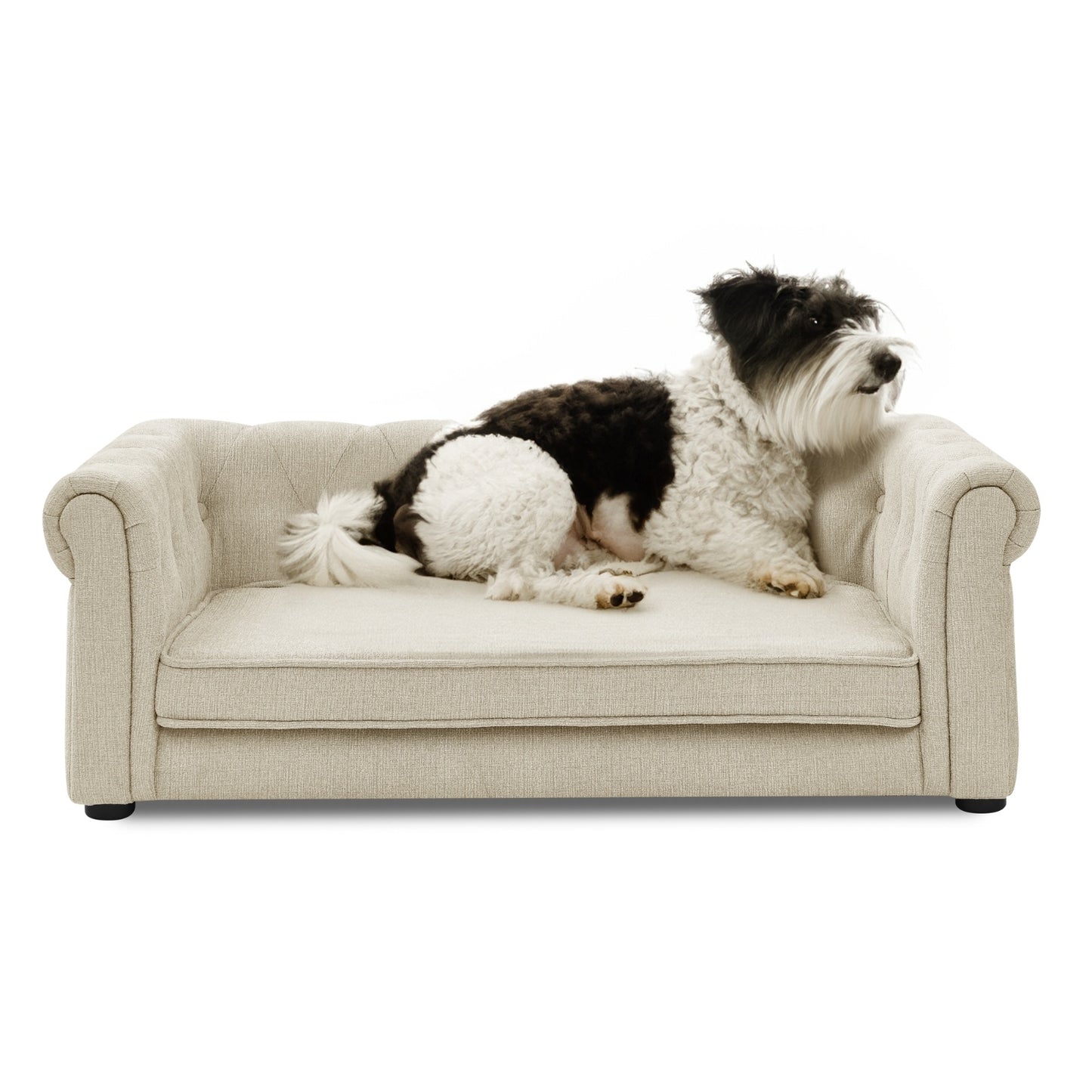 Elegant Rectangle Pet Bed for Medium and Large Dogs