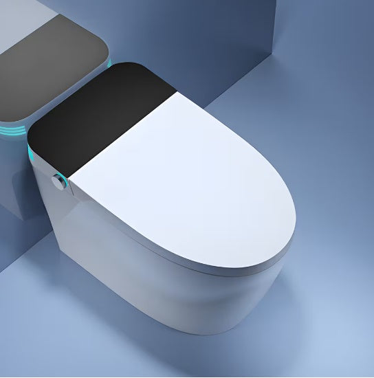 Integrated Bidet Toilet