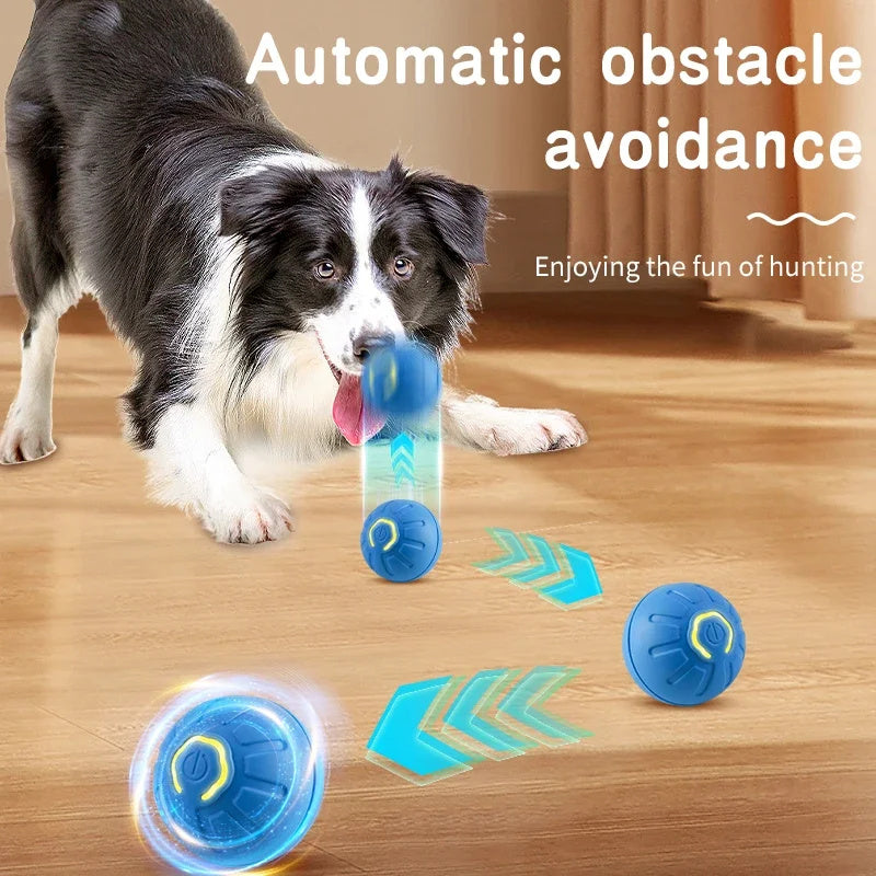 Smart Ball Dog Toy