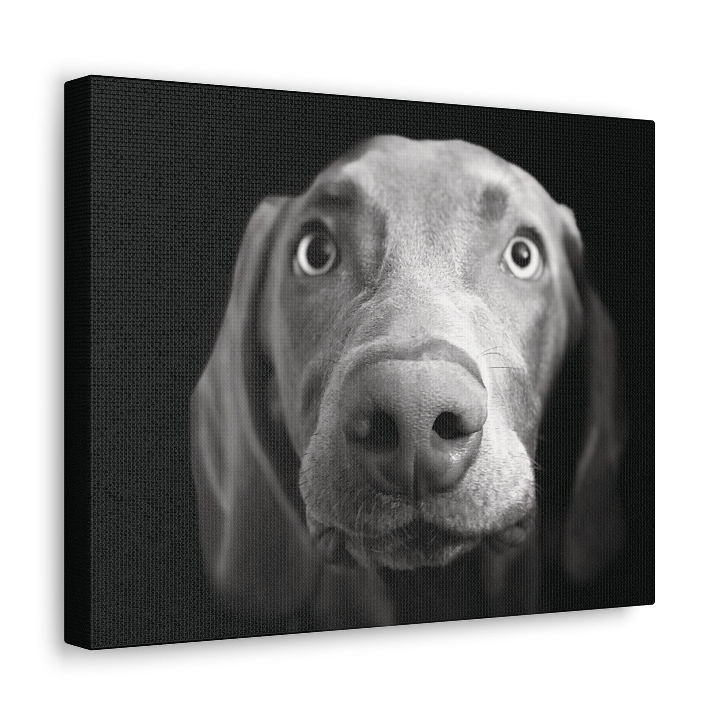 "Man's Best Friend" Canvas