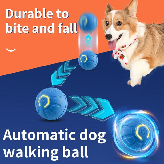 Smart Ball Dog Toy