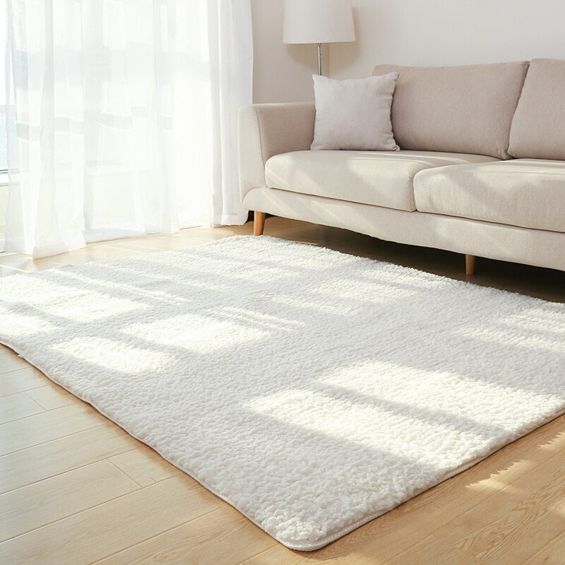 Living Room Area Rug