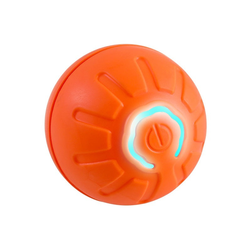 Smart Ball Dog Toy