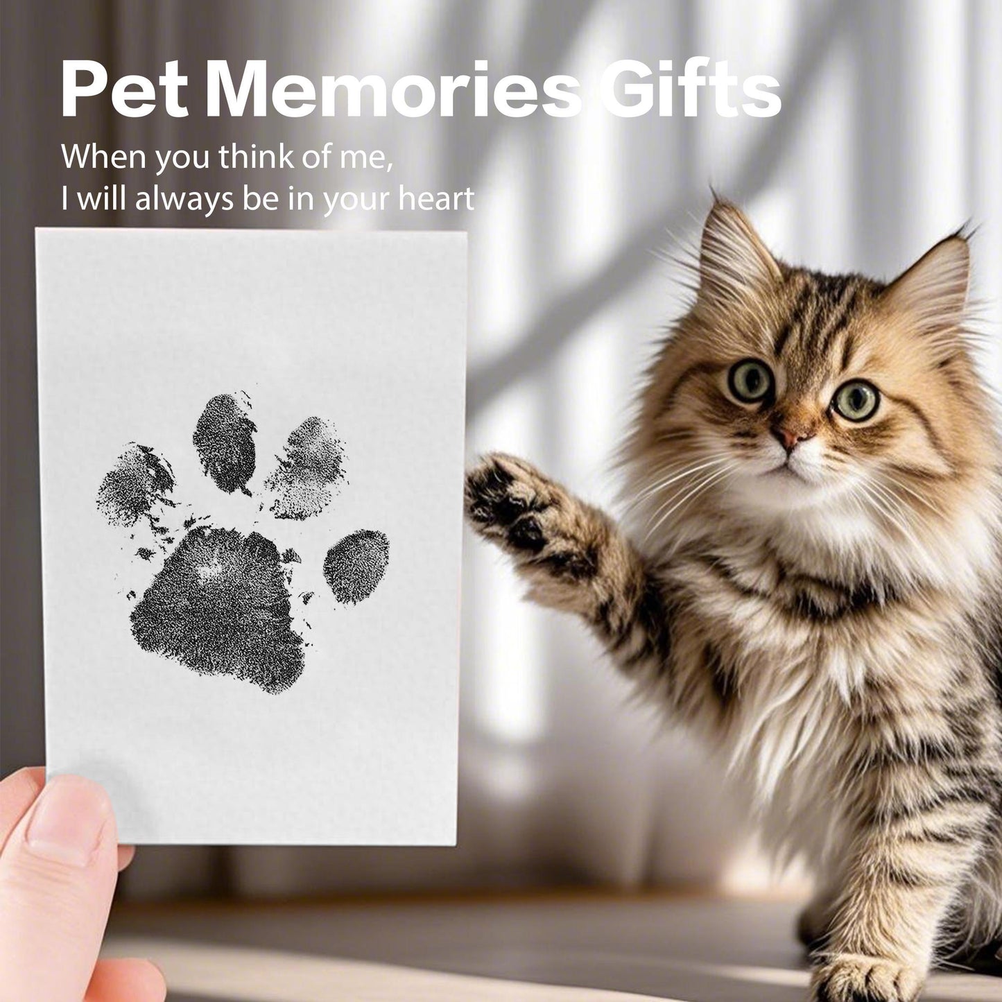 Pet Paw Printing Memorial Frame Kit