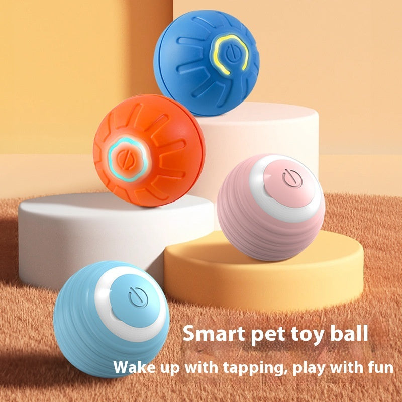 Smart Ball Dog Toy