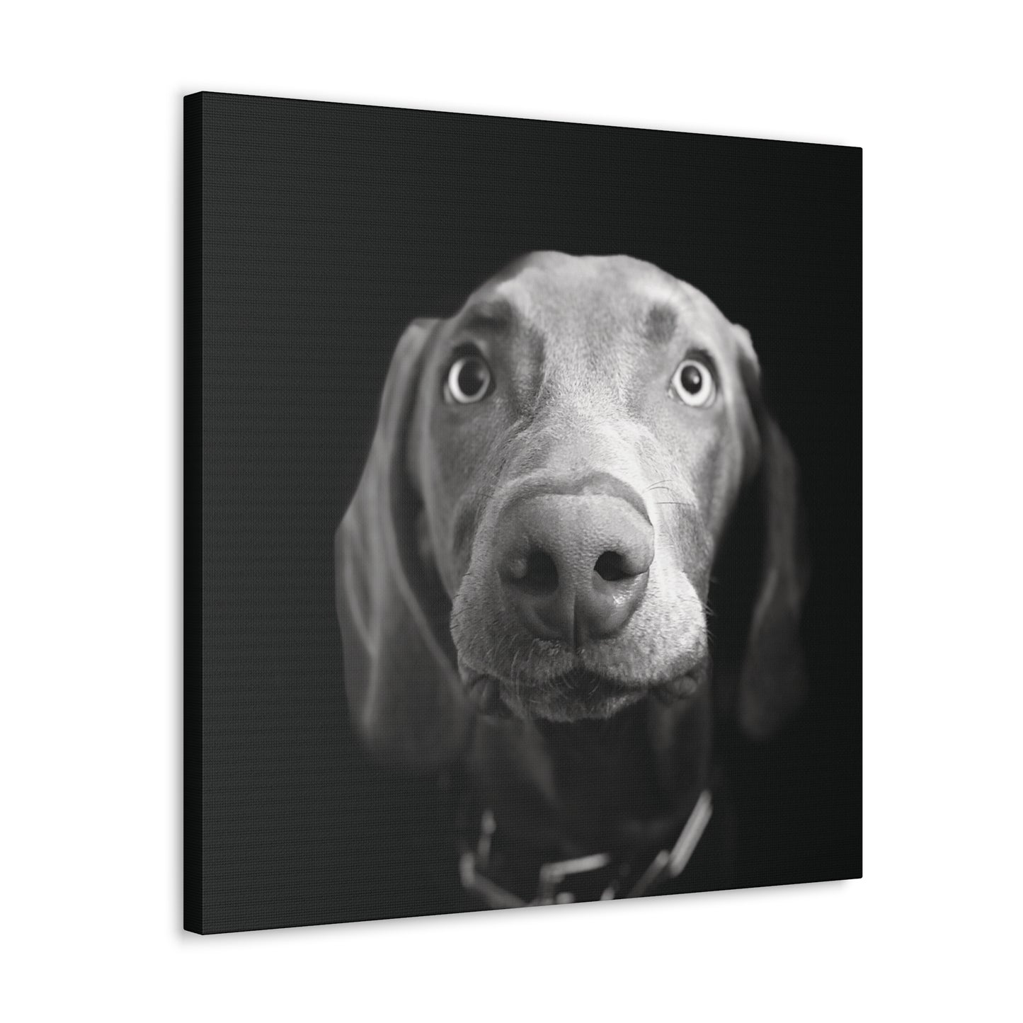 "Man's Best Friend" Canvas