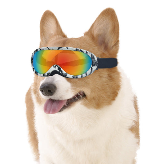 Pet Sunglasses for Outdoors