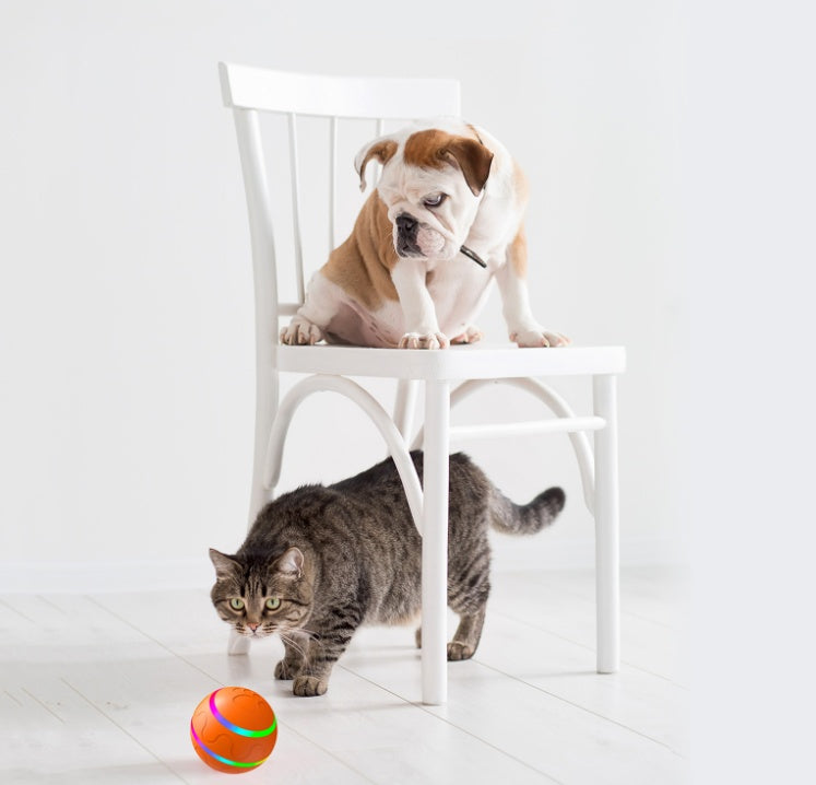 Intelligent Ball USB Cat and Dog Toy with Automatic Rotation