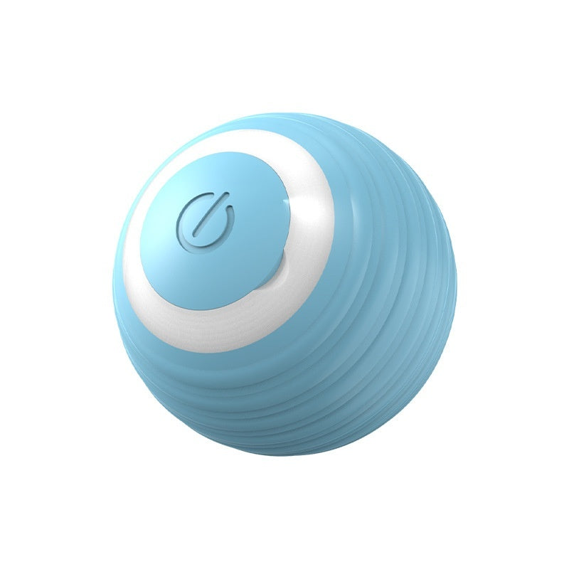 Smart Ball Dog Toy