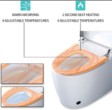 Integrated Bidet Toilet